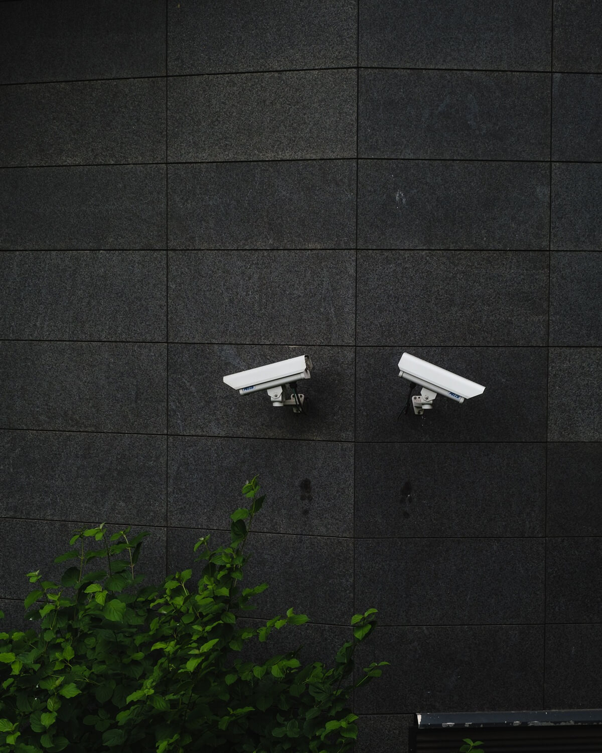 Cámaras instaladas para seguridad y televigilancia