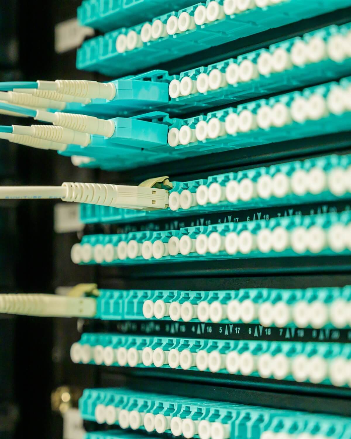 Panel de conexiones para infraestructura de telecomunicaciones